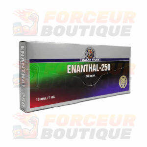 Testostérone Enanthate Malay Tiger Enanthal-250 (250 mg/ml - 1 ampoule)