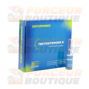 Testostérone Enanthate Genopharm (250 mg/ml - 1 ampoule)