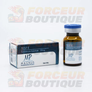 Testostérone Enanthate Magnus Test E (250 mg/ml - 1 flacon)