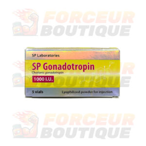 Gonadotrophine chorionique SP Labs (1000 jm - 1 flacon)