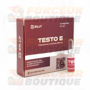 Testostérone Enanthate Zillt Medicine Testo E (250 mg/ml - 1 ampoule)