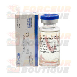 Testostérone Enanthate ZPHC (250 mg/ml - 1 flacon)