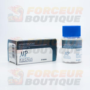 Anastrozole Magnus (1 mg - 25 comprimés)