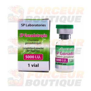 Gonadotrophine chorionique SP Labs (5000 jm - 1 flacon)