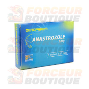 Anastrozole Genopharm (1 mg - 100 comprimés)