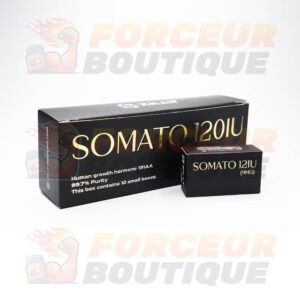 Hormone de croissance Zillt Medicine Somato (120 iu - 10 flacons)