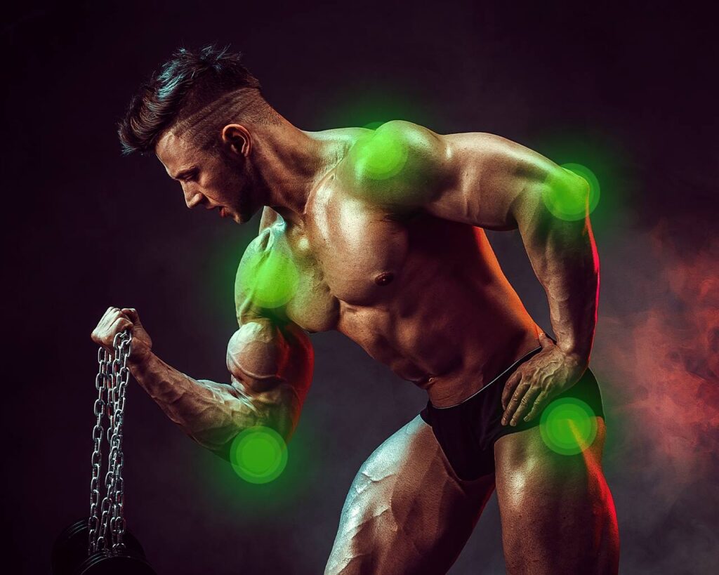 illustration-des-effets-des-strodes-sur-le-corps-humain-en-mettant-laccent-sur-les-muscles-et-les-organes
