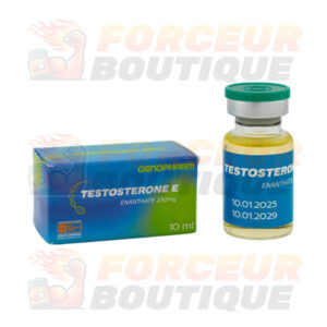 Testostérone Enanthate Genopharm (250 mg/ml - 1 flacon)